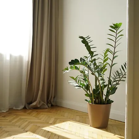 Apartman Urania Palace 24 Kolozsvár